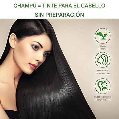 Color, nutrición y limpieza 3-en-1 en un solo paso + mascarilla anti-frizz